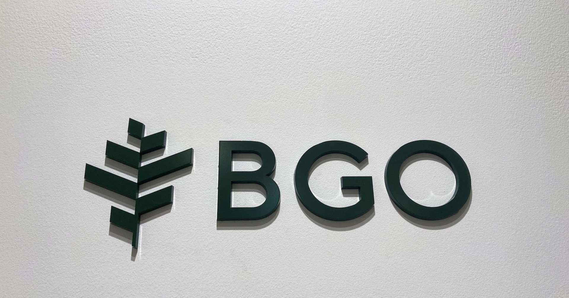 不動産ファンドのＢＧＯ、日本で数千億円規模の案件 「今が最も魅力的」
