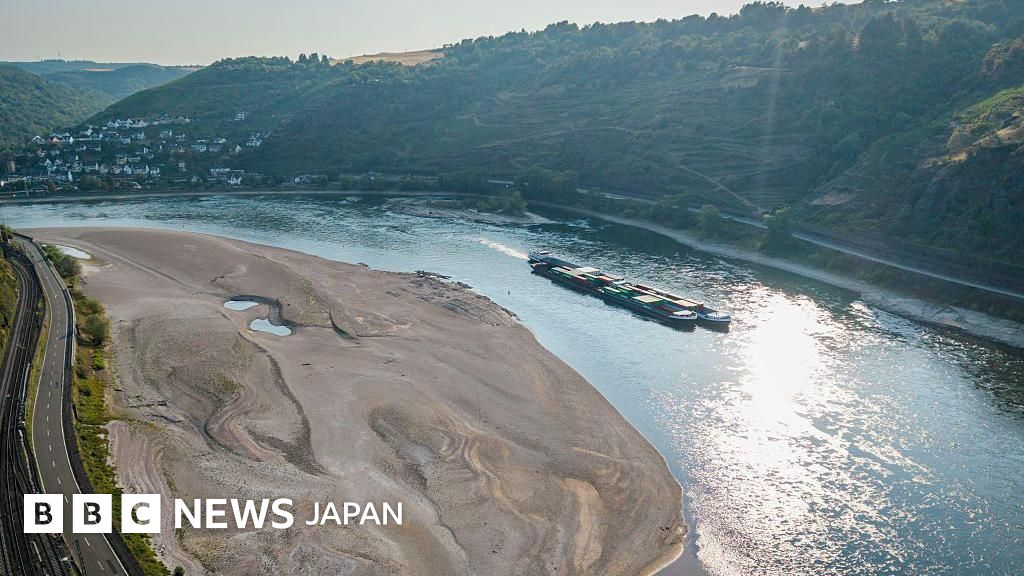 ライン川が記録的な低水位、水運や発電に影響 欧州で干ばつ広がる