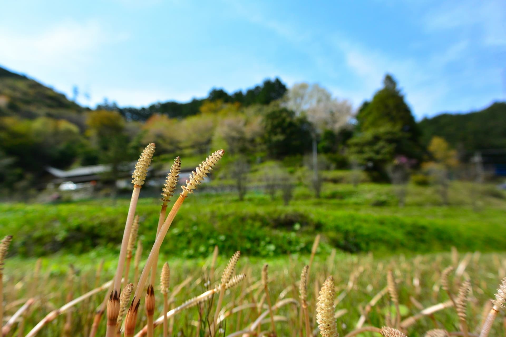 地元民しか読めないと思う「埼玉県の市町村名」ランキングTOP27！ 第1位は「毛呂山町」【2026年最新調査結果】