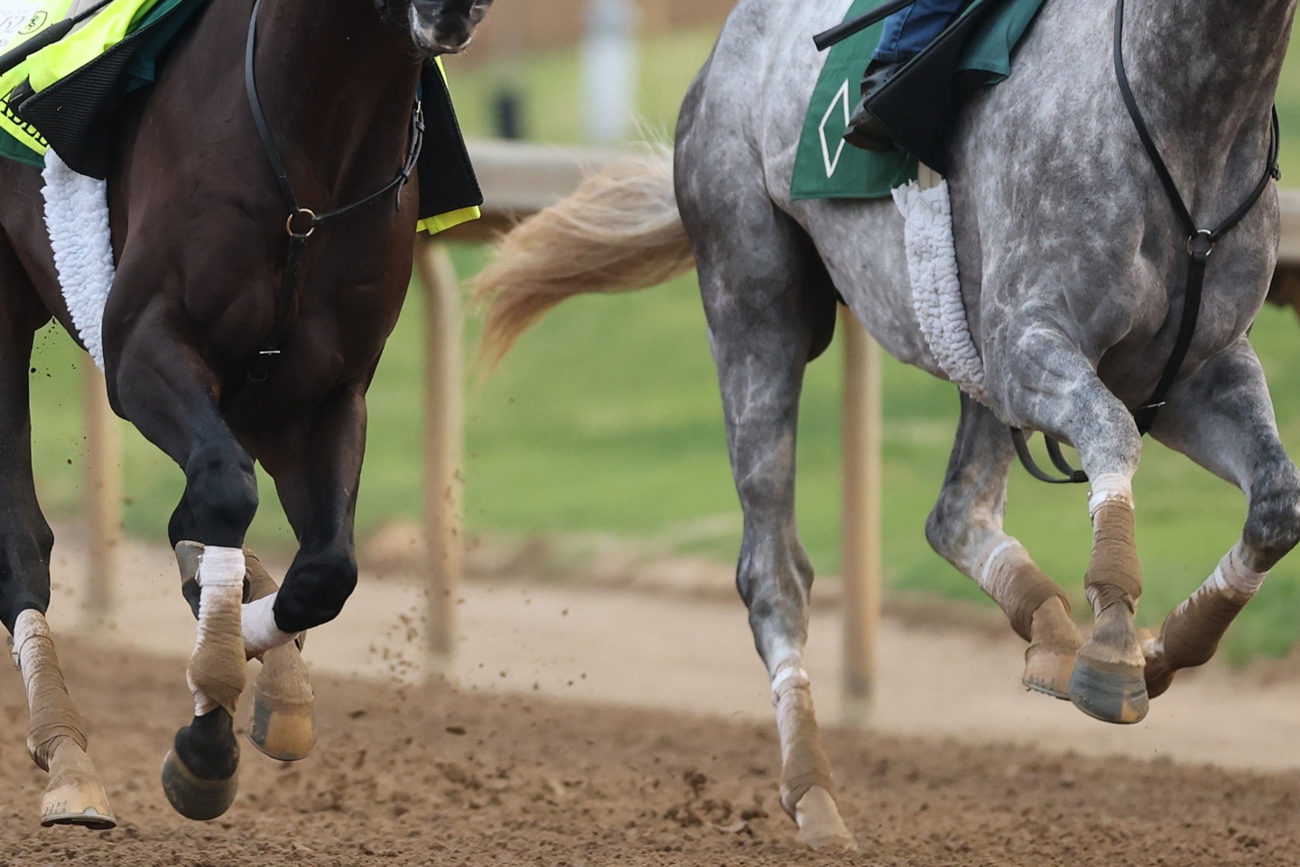 地方競馬から超ビッグニュース！ 相次ぐ“大物起用”に騒然「来場日すごいことになりそう」「GWの大井と船橋は賑わうな」