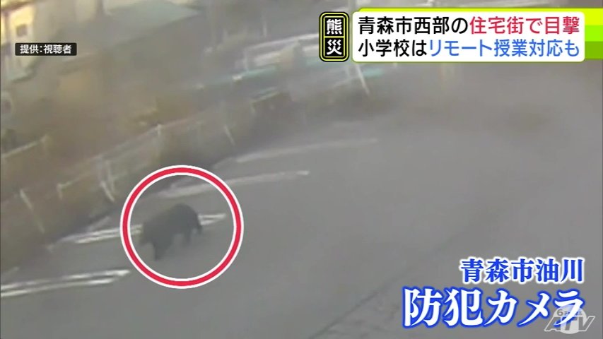 【防犯カメラ記録】住宅街でクマ目撃 4日間で8件以上 小学校はリモート授業の導入も 青森県青森市