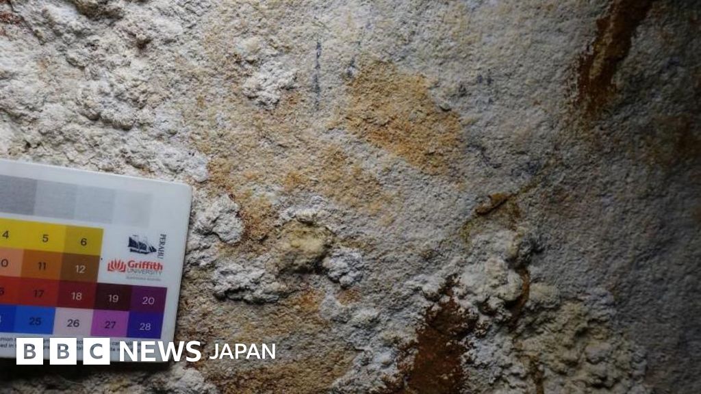 世界最古の手形の壁画発見、人類の創作史を塗り替えるか インドネシア