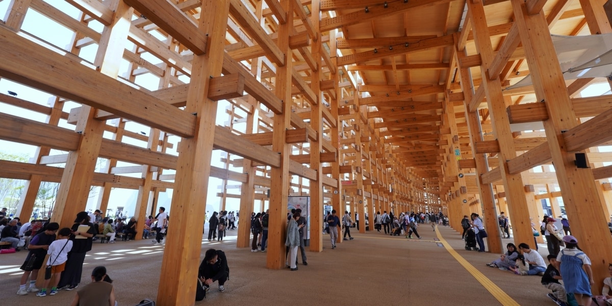 「万博会場のユスリカ大量発生」マンション買った人も悲鳴 「網戸びっしり」「洗濯物干せない」契約違反を主張できる？