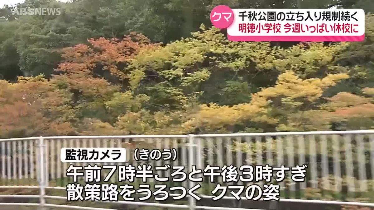 秋田市の千秋公園で目撃されたクマは捕獲に至らず 警察などが警戒続ける 北秋田市では女性がクマと鉢合わせて転倒 腰の骨を折る大けが 秋田