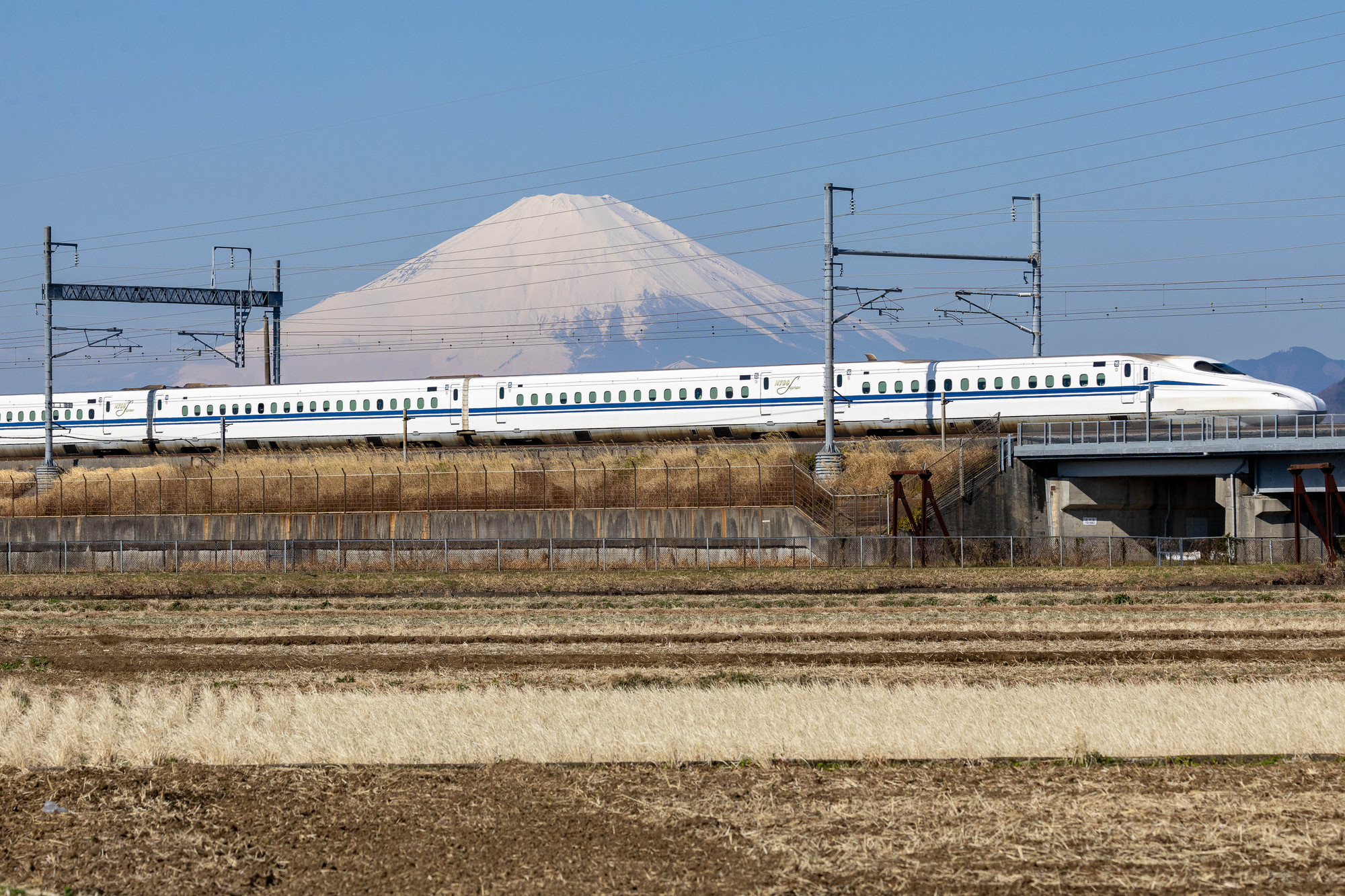 「最高に贅沢で美味しかった」 東海道新幹線で人気の“春のいなり駅弁”は当たりです「食べやすいサイズ感」「春のときめきを感じられました」