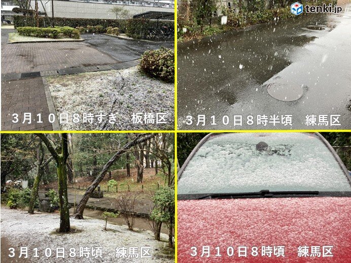 関東は平野部でも積雪 10日午前9時に宇都宮で12センチ 路面の凍結などに注意
