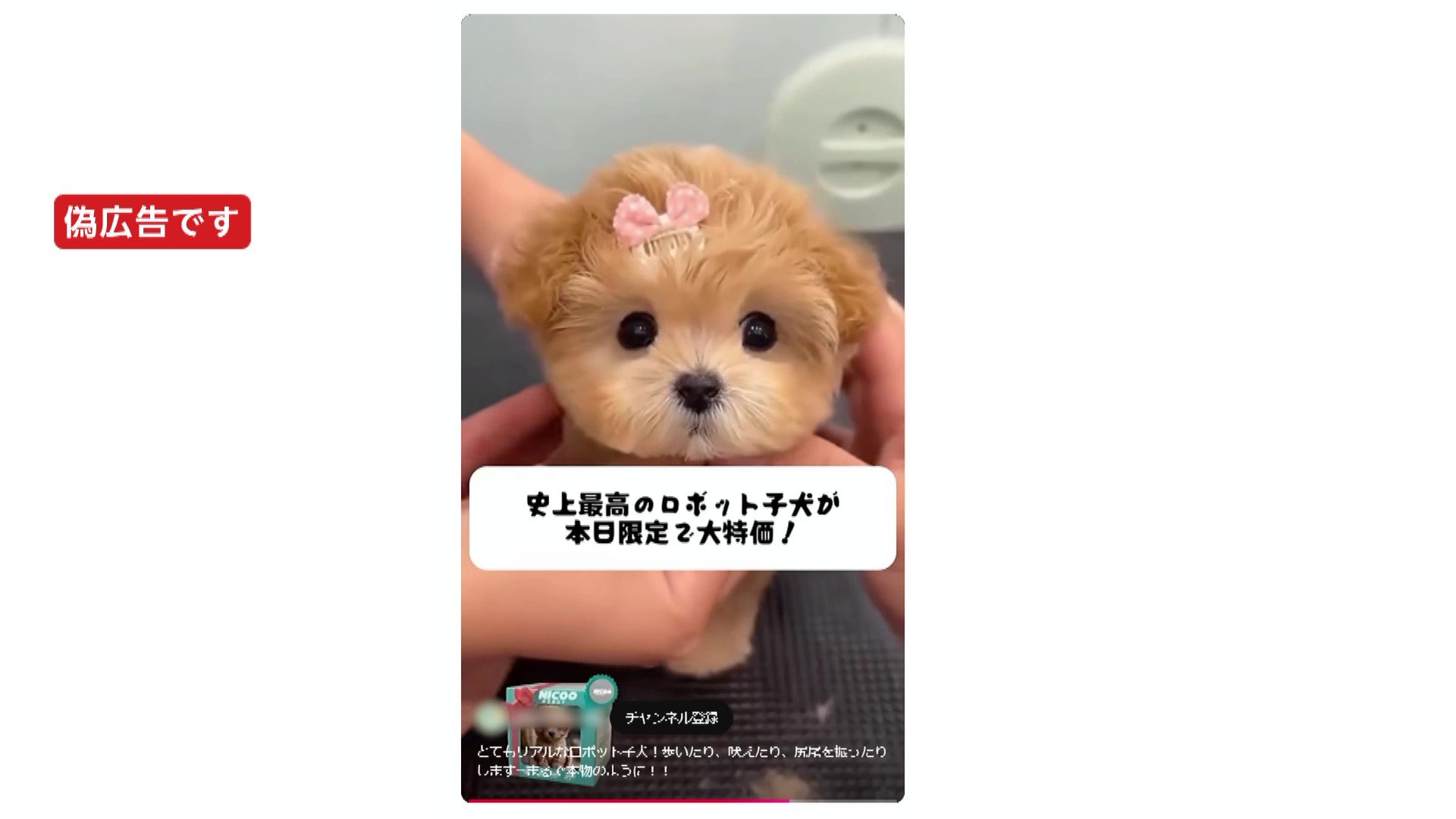 【独自】ついに「AIロボット犬」まで…即決購入も届いたのは“昭和のおもちゃ” 相次ぐ「偽広告」ソニーや東大の“お墨付き”などうたい購入者を誘い出す