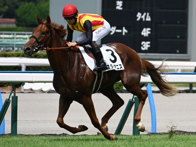 【AI予想・阪神JF】最終追い切りで自己ベストマークと絶好調！ 渾身の仕上げで挑む人工知能の本命馬