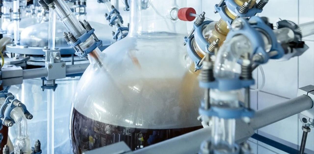 ｢真菌｣がプラごみを食用化合物に。しかも二酸化炭素を消費するってよ