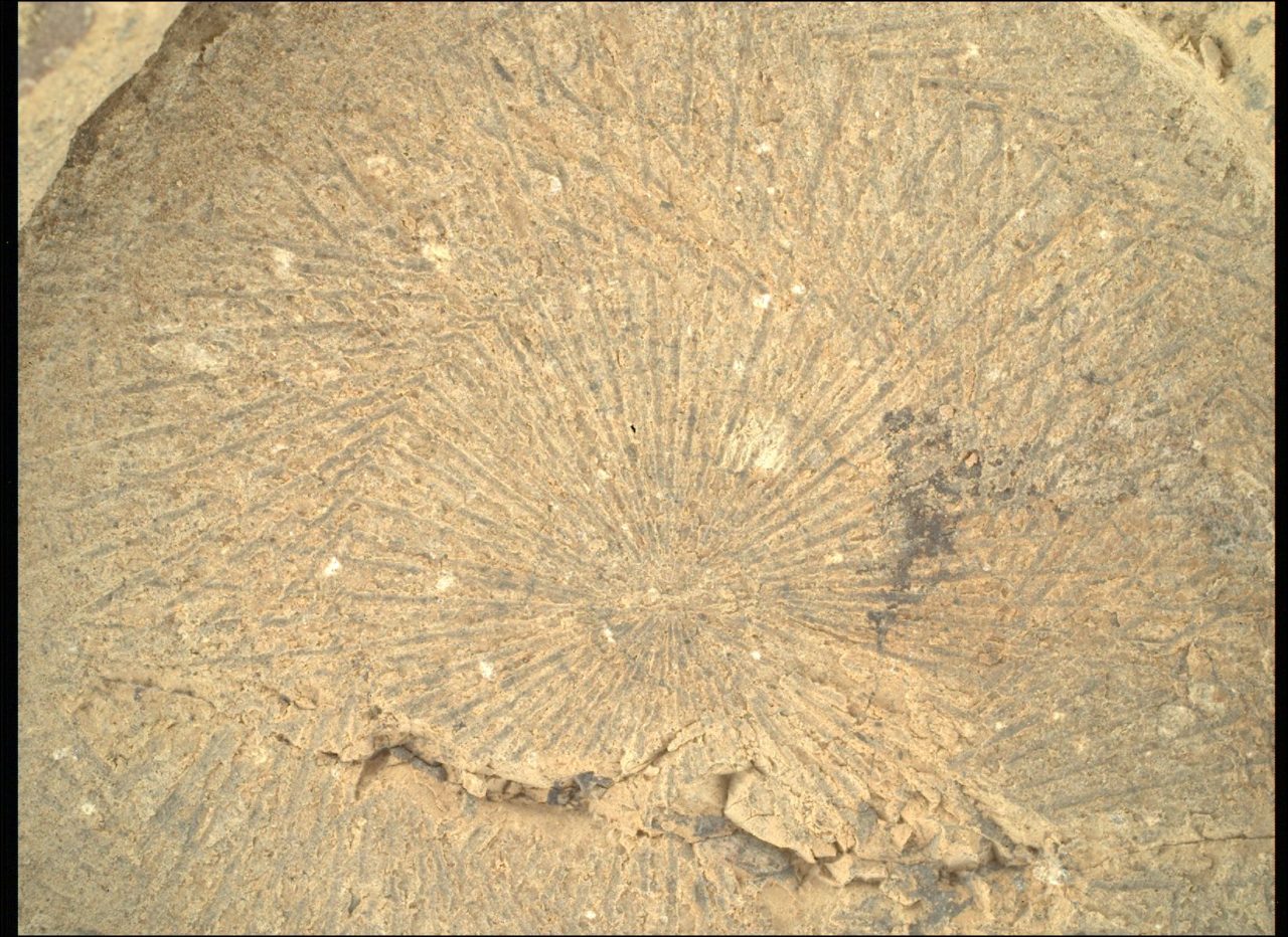 2025年6月7日の火星の風景：この謎の模様は？【今日の宇宙画像】