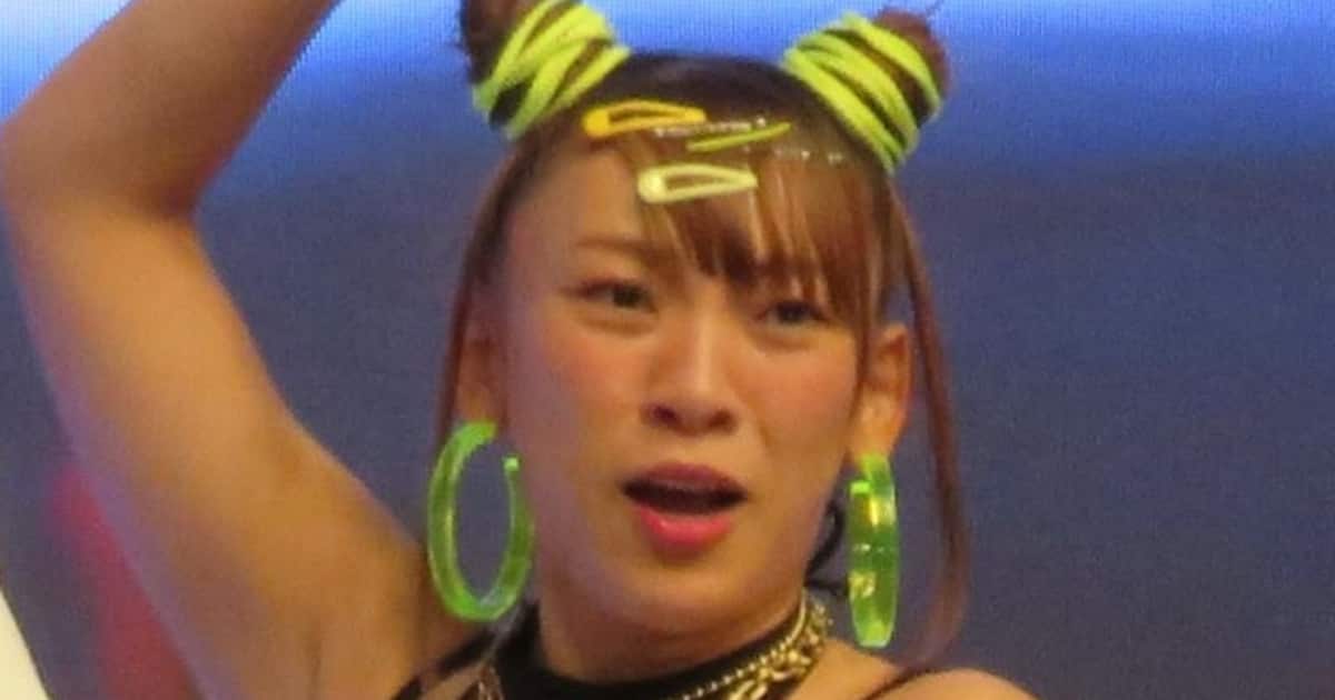 フワちゃん、女子プロレス「スターダム」入団発表 12月29日に〝復帰戦〟「この一年半の思いを、全てリングにぶつけます！！」