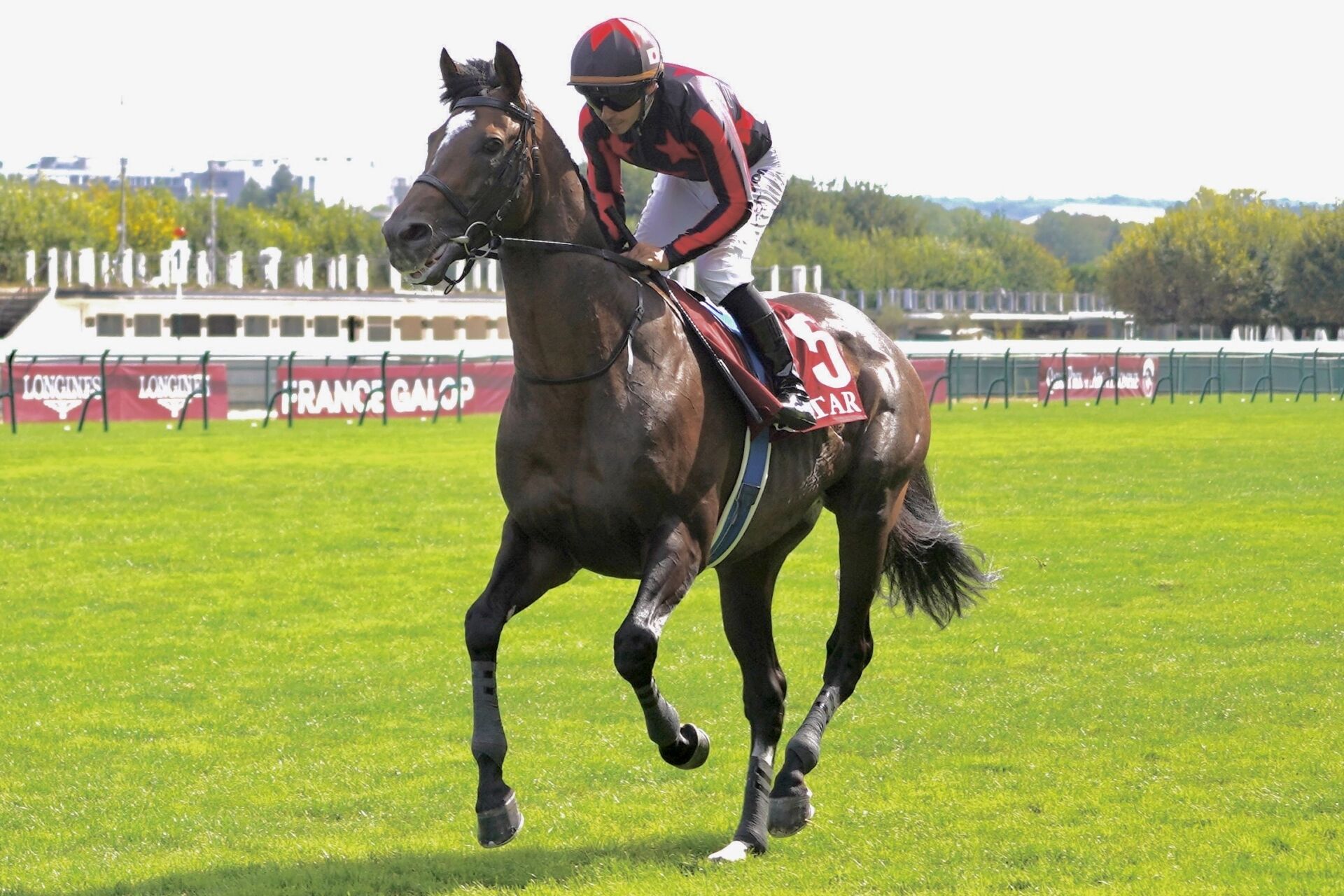 【ムーランドロンシャン賞】日本馬ゴートゥファーストは11着…フランスのサーランが接戦を制する