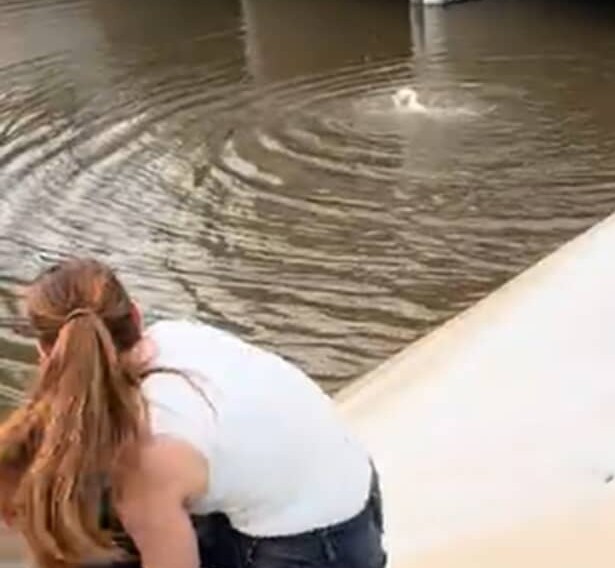 「なんていい話」「真のヒーロー」 運河で溺れてもがく犬→美容師の“咄嗟の行動”が5260万回再生。世界から賞賛と感動の声【海外】