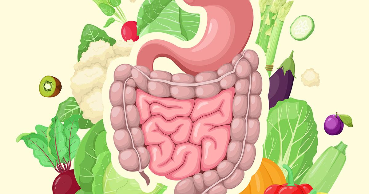 腸内細菌の最新研究、やっぱり「食物繊維多め、肉は控えめが良い！」との結論に