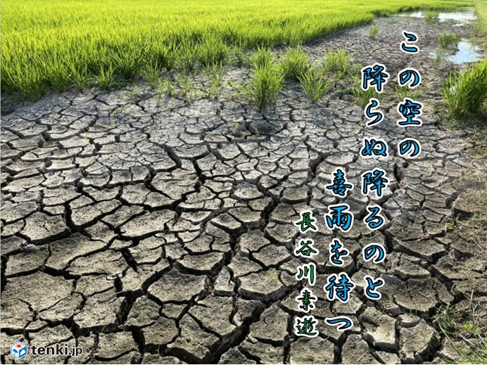 8月6日頃～天気崩れる 喜雨が期待されるも北陸の大雨パターンか いきなりの鬼雨も