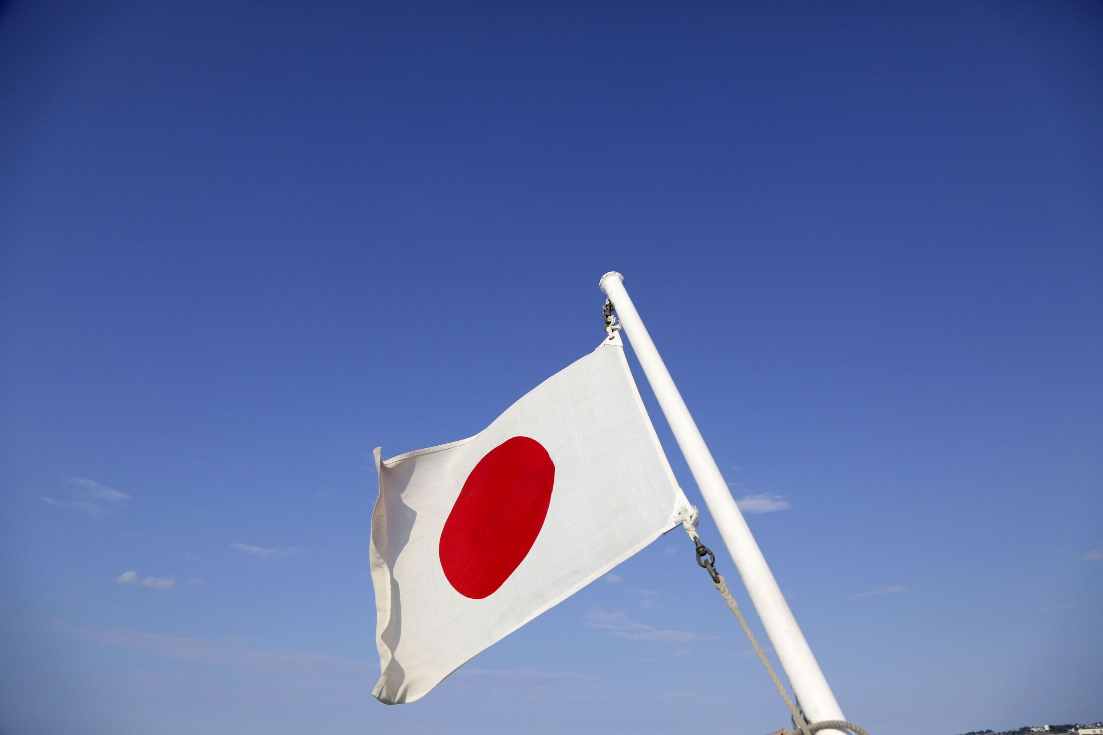 「息苦しい社会にするのか」と警戒も…自民党が進める国旗損壊罪、“かなり怖い話”になりかねないワケ（文春オンライン）
