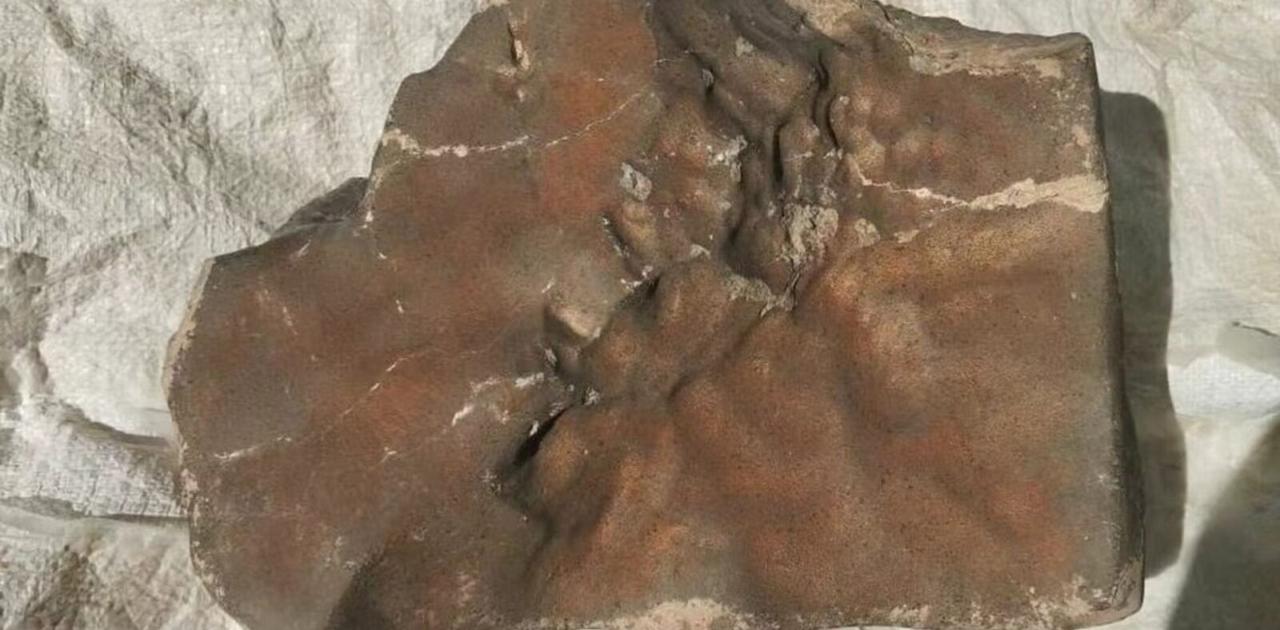 火星からの隕石がオークションに。落札価格は6億円超えるかも