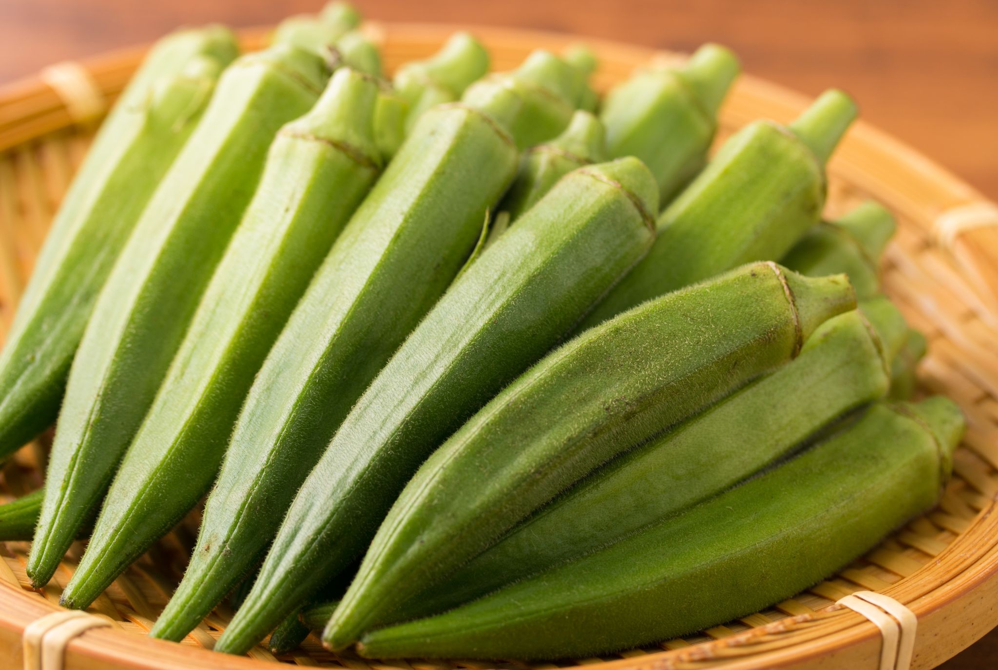 「でかっ」栽培した当人もビックリ 手のひらサイズに育ってしまった超巨大な夏野菜 「こんな育ちカタするんですね〜」「ほとんど凶器」
