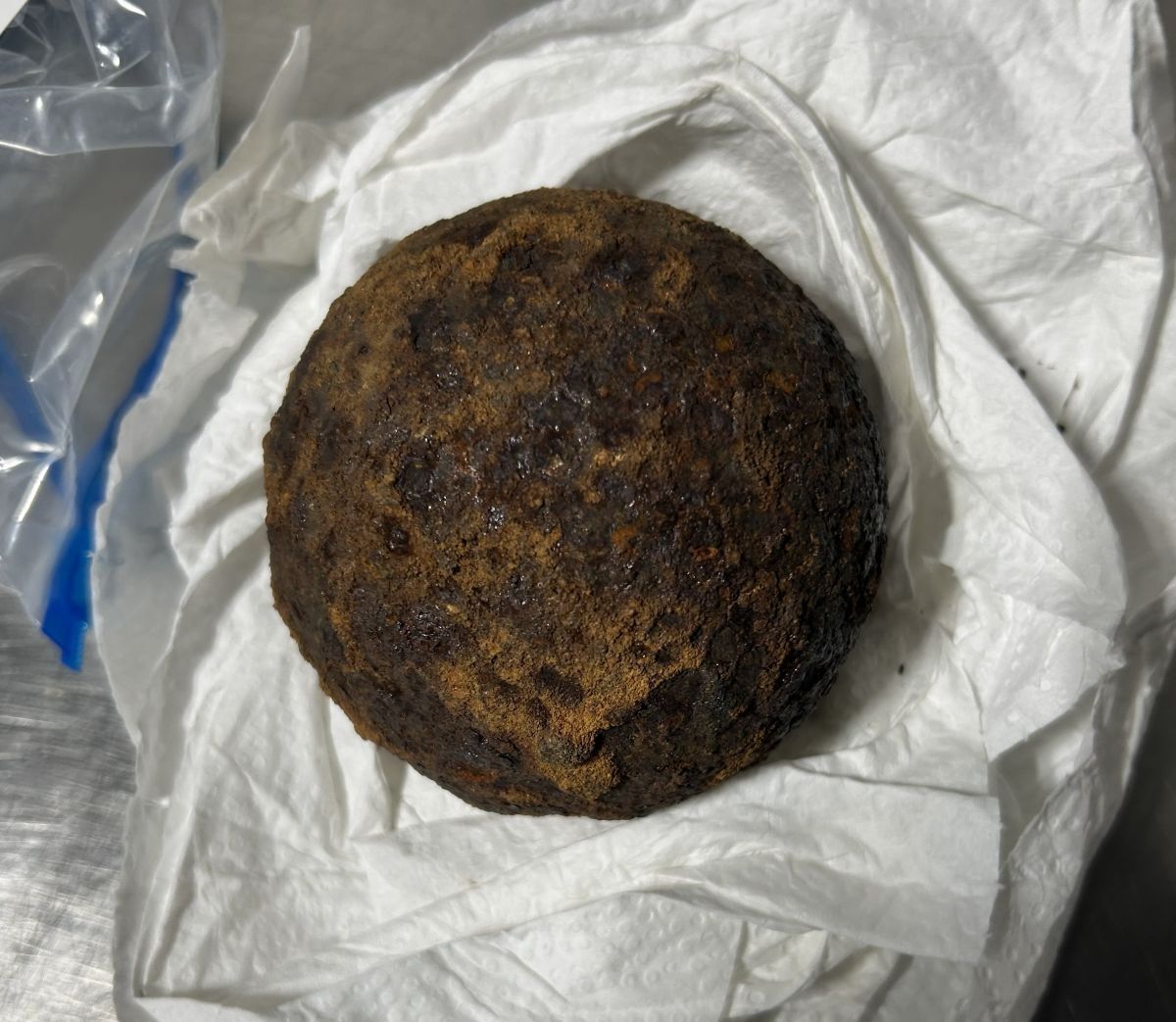 南北戦争時代の砦から盗まれた砲弾、預け入れ荷物の保安検査で発見 米アラバマ州