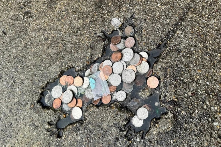 【米国で話題】道路にできた「ネズミ穴」、調べたら実はネズミじゃなかった