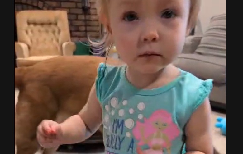 トイレ練習中の2歳の娘が「被疑者」に...検察官の女性を襲った「まさかの事件」に警察官たちも爆笑（ニューズウィーク日本版）