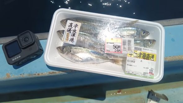 スーパーで買った50円のアジ→水深70メートルの海にカメラと沈めたら…… 衝撃の光景に「見ごたえ抜群」「獰猛で食欲旺盛」