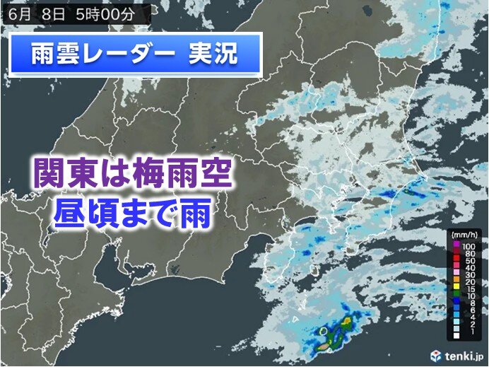 関東は8日の昼頃まで雨 9日以降も曇りや雨でムシムシ 梅雨の晴れ間はいつ?