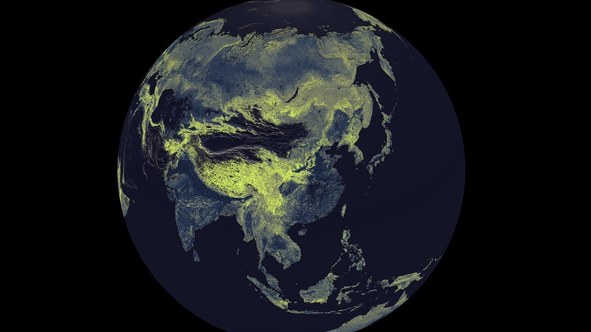 地球から太陽までの距離の10億倍！地下の菌糸ネットワークの規模が地図化で明らかに