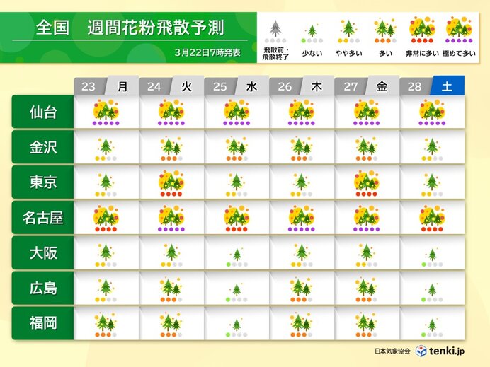 九州～関東 スギ花粉ピーク越え ヒノキがピークに 23日以降「極めて多い」飛散も