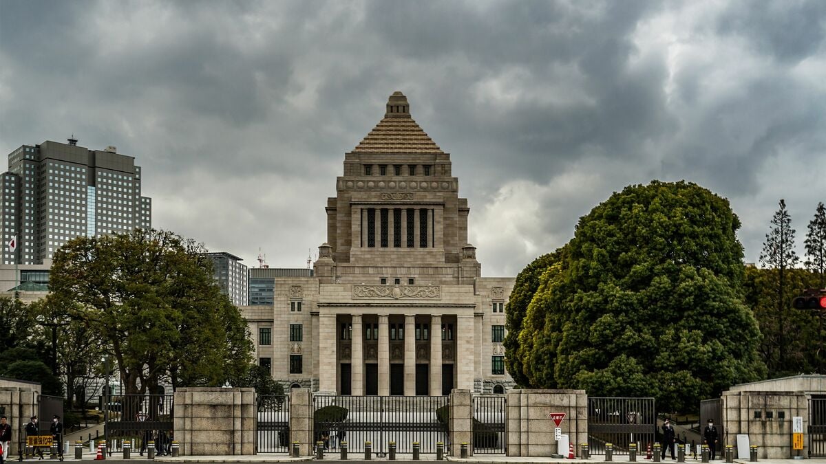 得をするのは｢金持ち｣と｢悪徳医師｣だけ…いま国会で進行中の“薬の保険外し政策”で起きる深刻な副作用 OTC“本家薬”の保険外しという｢アリの一穴｣