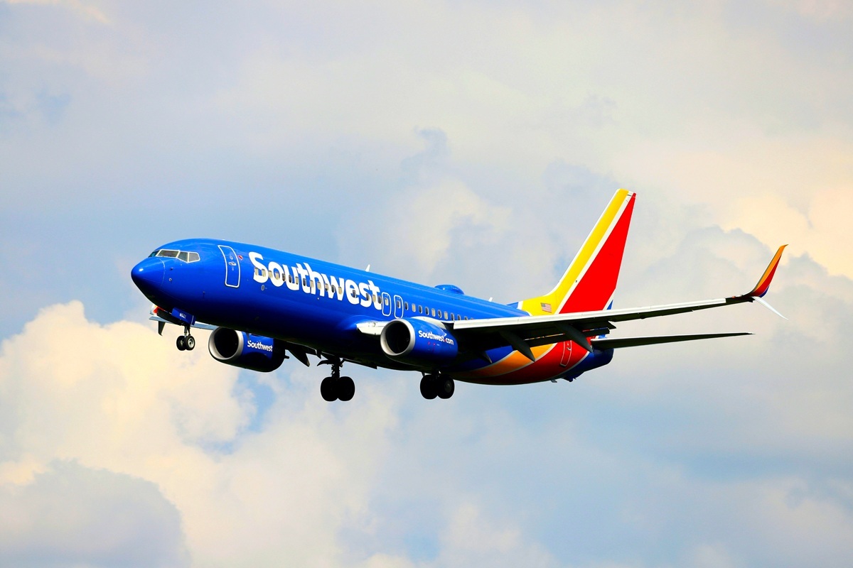 「普通じゃない...」「凶器だ」飛行機の荷物棚から「まさかのモノ」が落下、大怪我をした男性の写真にSNS震撼（ニューズウィーク日本版）