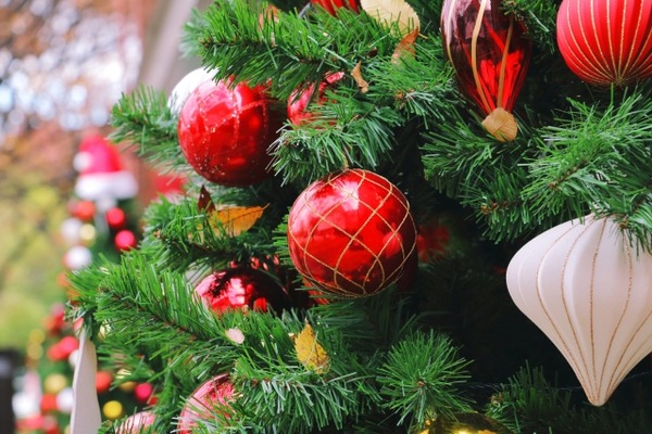 出店数20店以上！『鳥屋野潟公園（鐘木地区）』で『鳥屋野潟公園 Xmas market（クリスマスマーケット）』開催！12月20日。