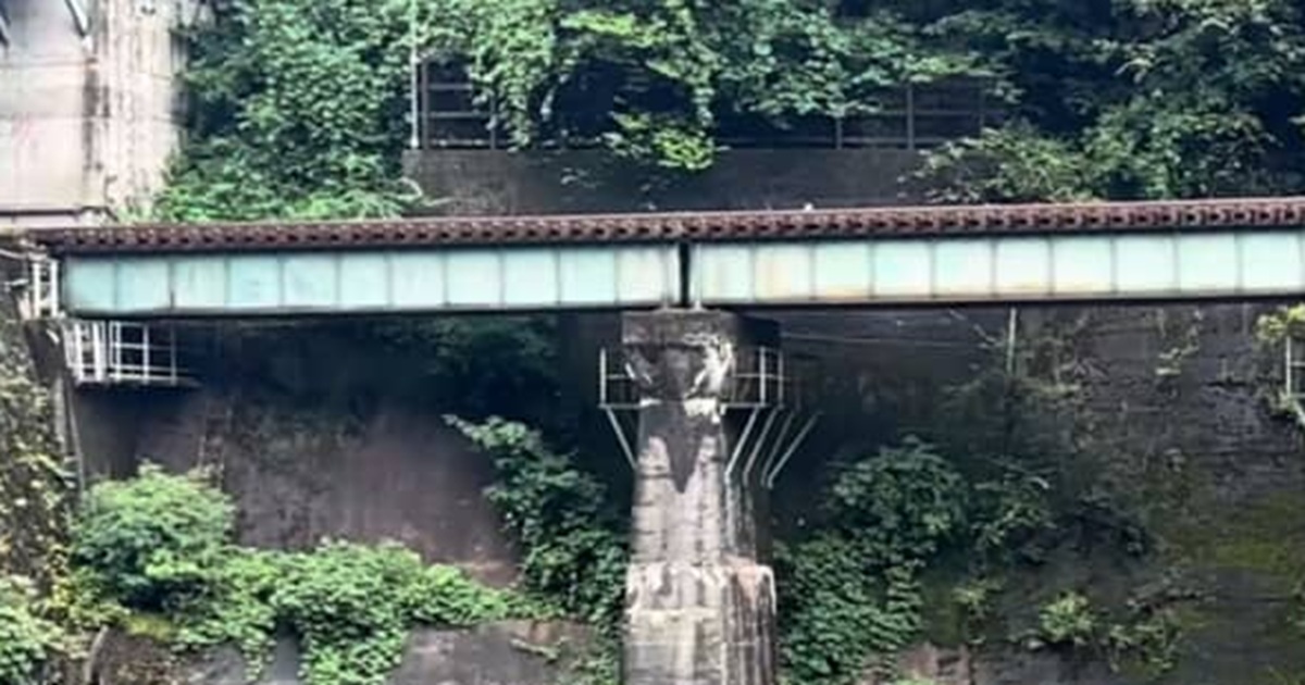 ごく普通の田舎の川辺を写した1枚、かと思ったら……「す、す、すごい」 想像を超えた“目を疑う光景”に「とにかく凄すぎる」