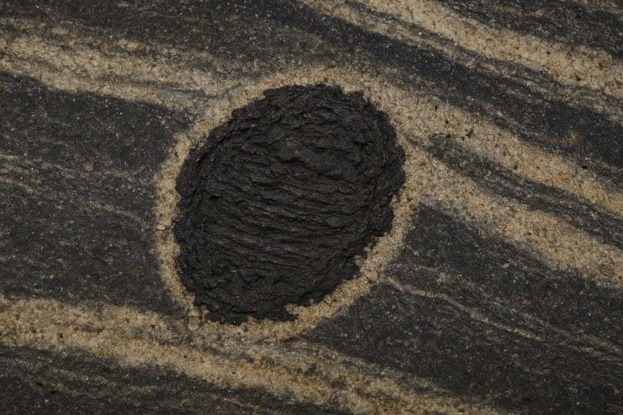 33億年前の岩石に史上最古の「生命の痕跡」を発見｜ニフティニュース