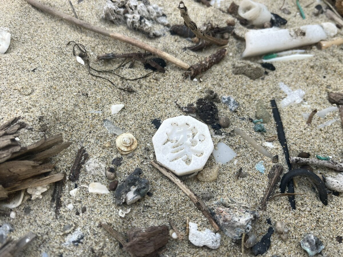 九州・玄界灘の海岸清掃で拾った「謎の駒」 6年後の収集結果に「すごすぎる」「まさに奇跡」と衝撃