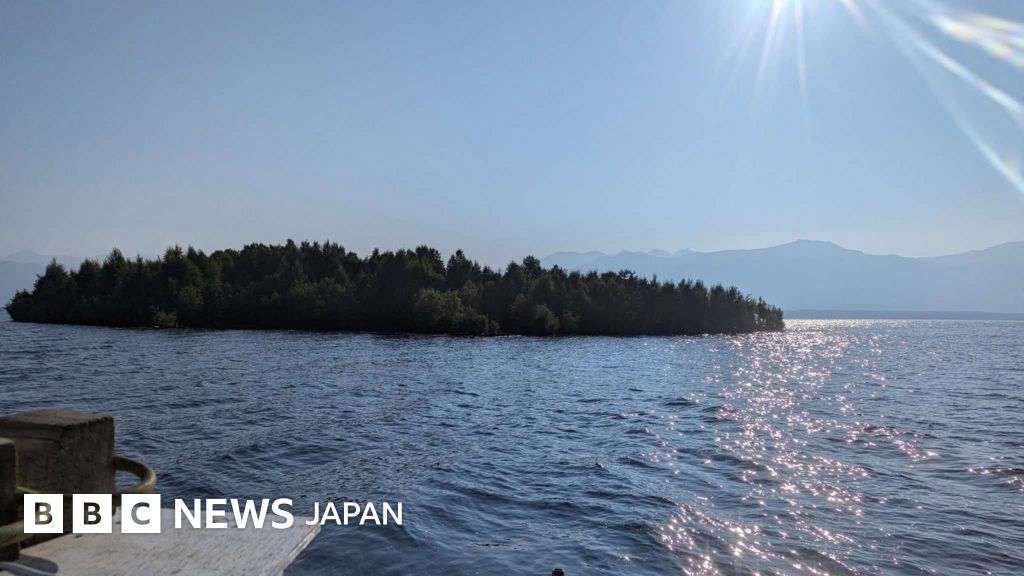 浮島が出現、消滅、そして再出現……カナダの淡水湖