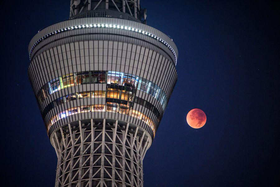 「ちょっと食い込んだ（笑）」 皆既月食とスカイツリーの絶妙コラボ 7.7万人が絶賛