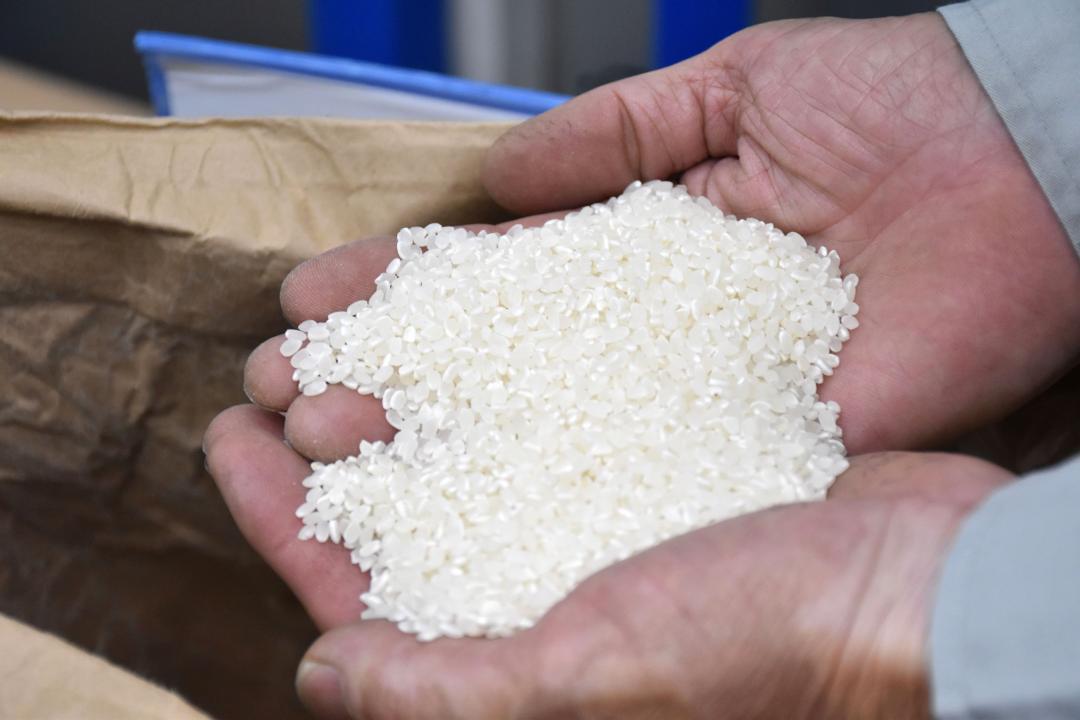 おこめ券 配布決定ゼロ 茨城県内自治体 27市町村は未定