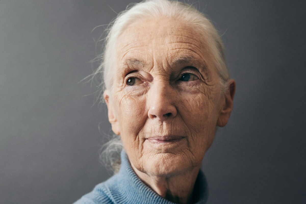 【追悼】ジェーン・グドール博士が91歳で死去、類人猿研究に革命 稀有な生涯と多大な功績