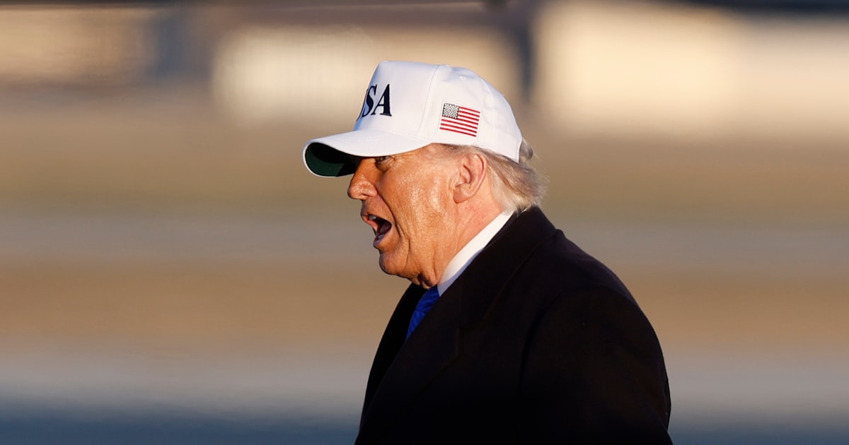 トランプ氏、ホルムズ海峡護衛で「7カ国と協議中」 今週にも発表と米報道