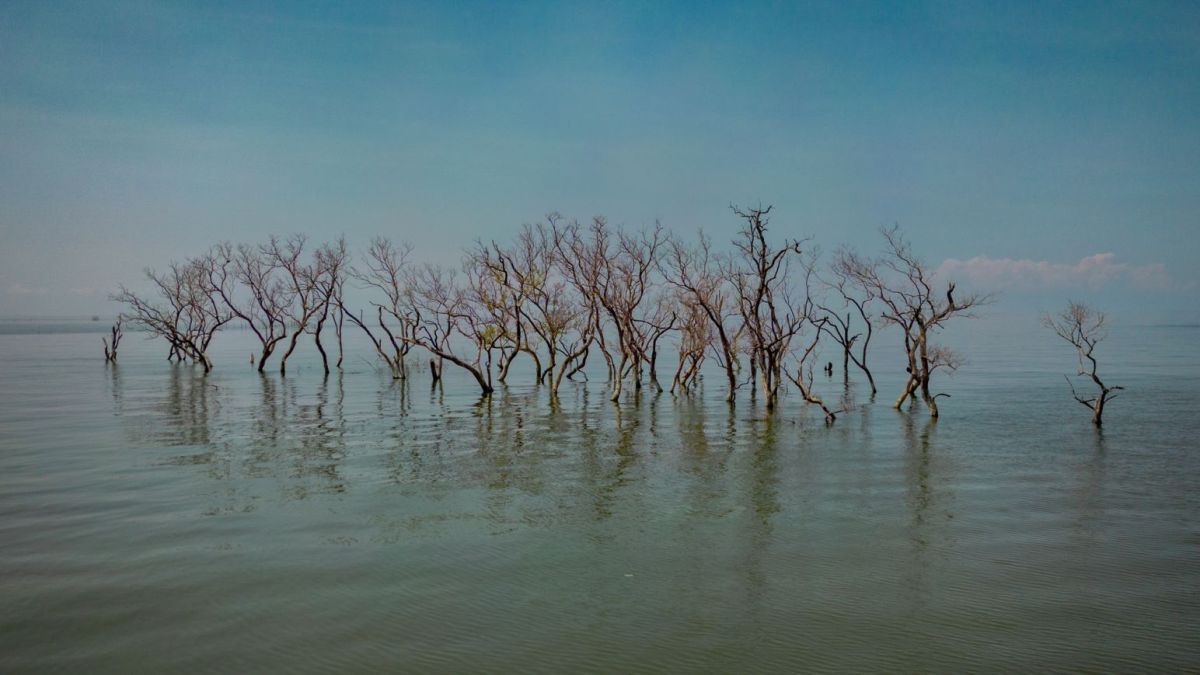 「気温上昇は18世紀から始まっていた」 英研究者らが新データを分析