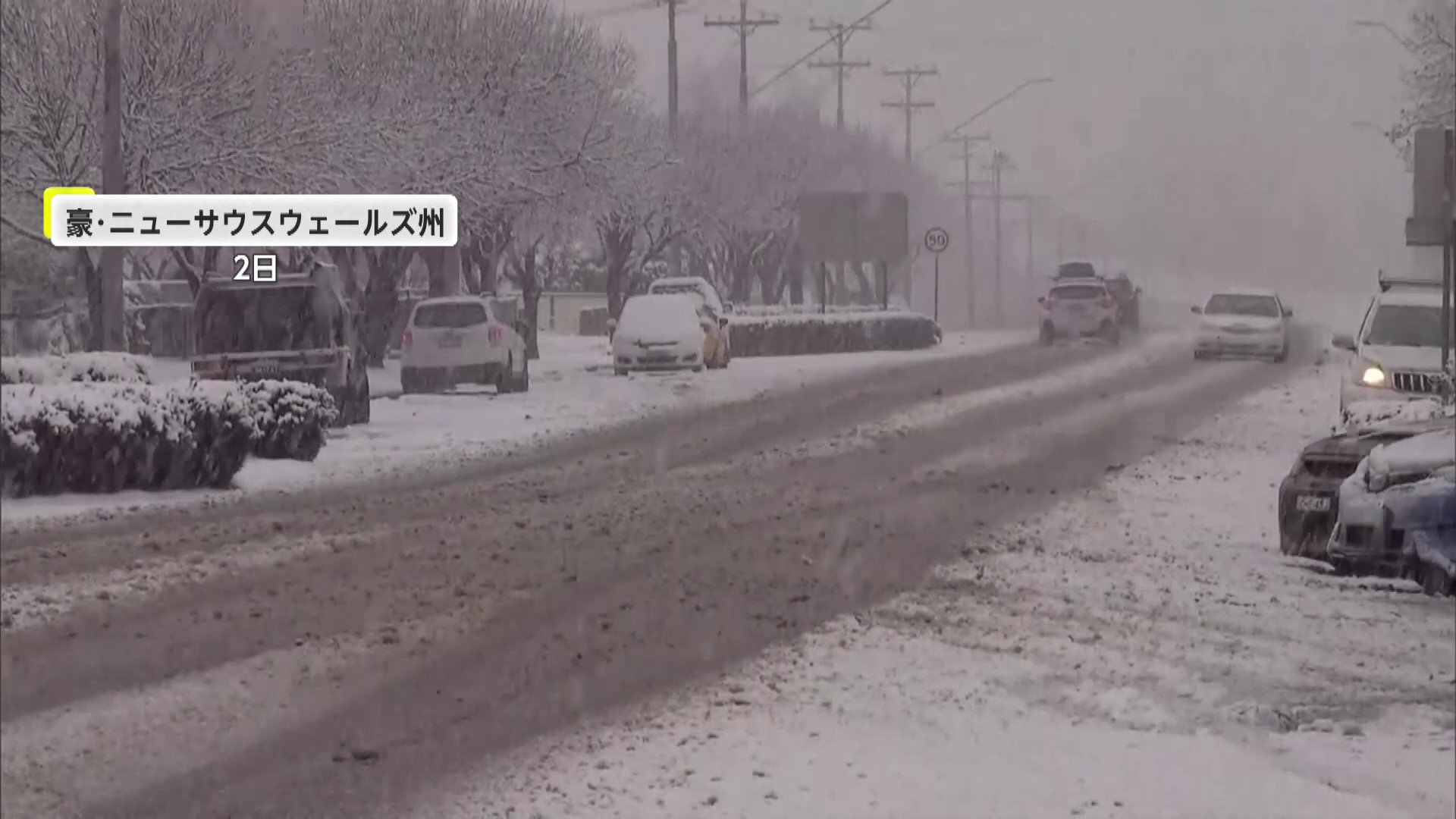 オーストラリアで“記録的大雪”100台超が立ち往生し数千世帯が停電 韓国では連日猛暑で「ヒートアイランド現象」深刻化…野外バナナ栽培も
