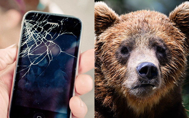 「熊が私を食べている！」ヒグマの一撃で父は即死、娘は生きたまま熊に…死を覚悟した娘が母に送った“最期の言葉”「お母さん、いろいろとごめんね…」（海外の熊事件・平成23年）（文春オンライン）｜ｄメニューニュース