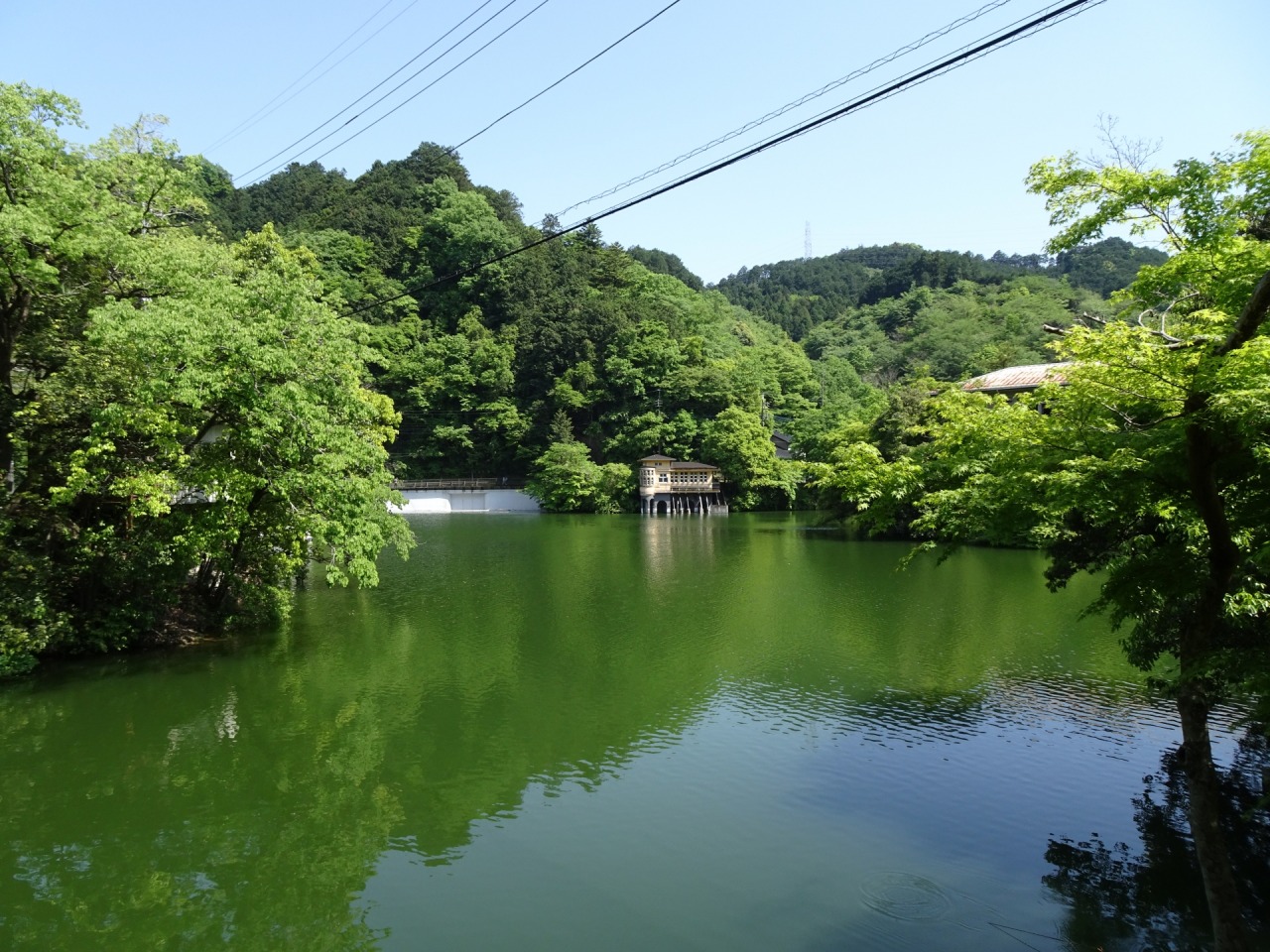 「常用漢字なのに……」 “地元民しか読めない埼玉の市町村名”→関東在住者が選ぶ1位に「可愛い名前だなぁって思ってた」の声