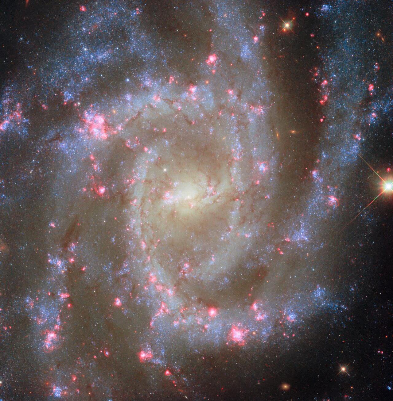 銀河を彩る星形成領域の輝き ハッブル宇宙望遠鏡が観測した渦巻銀河「NGC 2835」