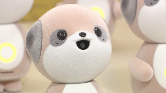 背景に”ぬい活”？AI搭載最新「ぬいぐるみ」ロボット シャープが発表 カメラ搭載 “自由に会話”
