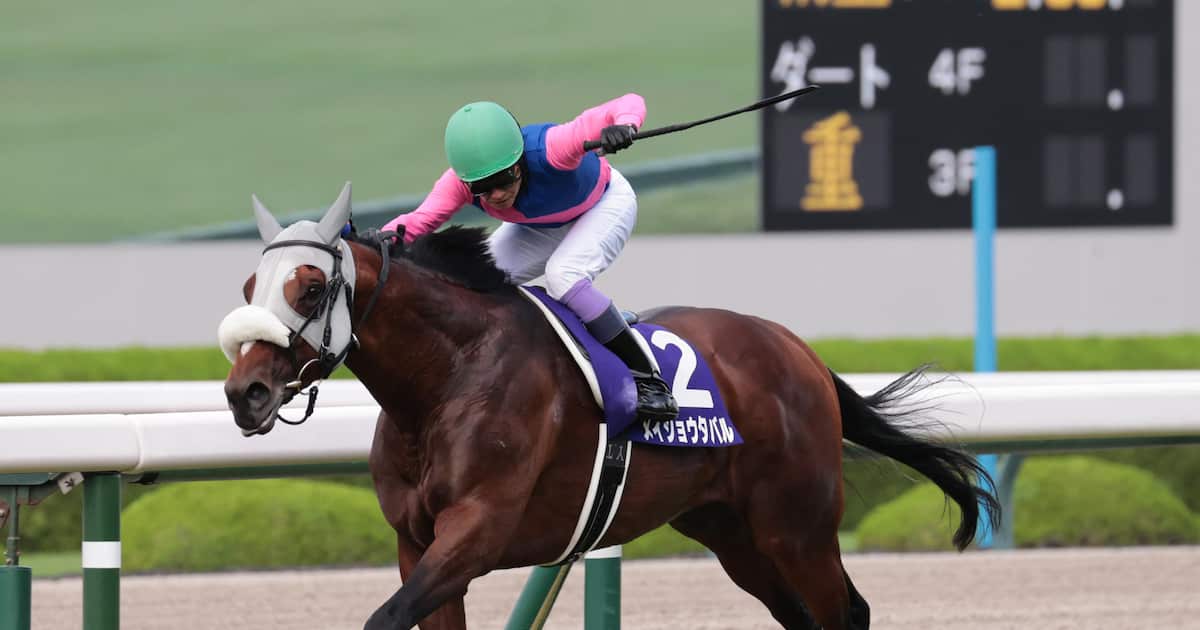 【宝塚記念】鮮やか逃げ切り！ 7番人気メイショウタバルがGⅠ初制覇 武豊騎手は19年ぶり5勝目「涙が出そうになるぐらいうれしかった」