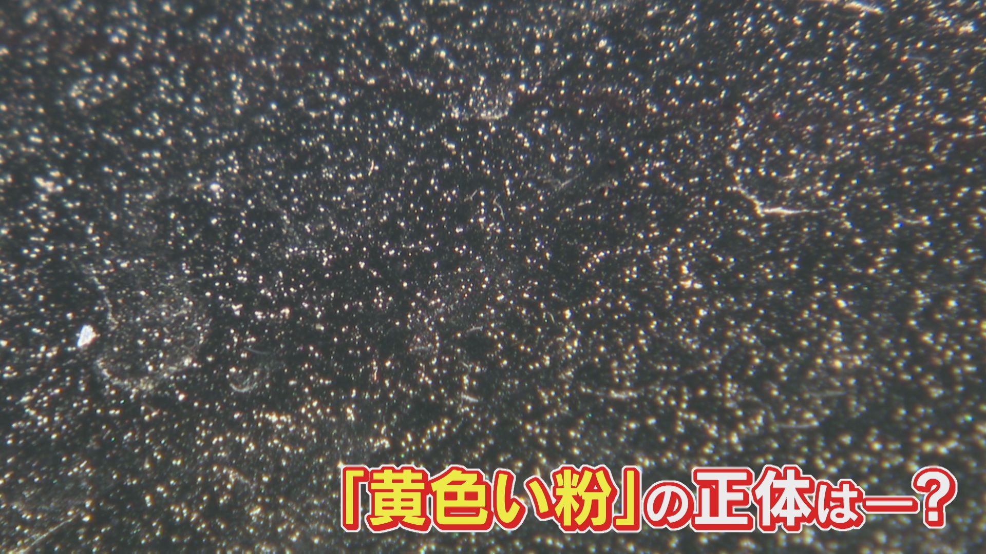 黄砂?空気中の汚れ? 車に付着する謎の“黄色い粉” SNS投稿相次ぐ 気象台は「黄砂は確認されず」 その正体とは… 【福岡発】