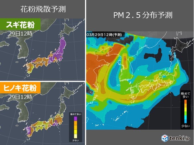 明日29日は花粉が大量飛散 PM2.5にも注意 来週はヒノキ花粉が本格化