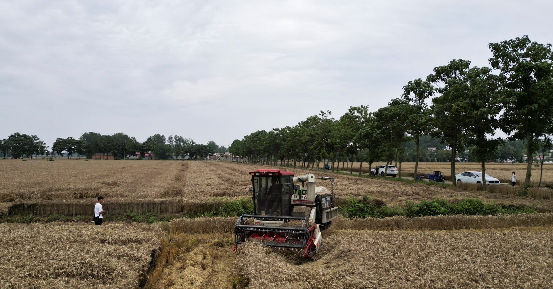 中国、洪水・干ばつ被災地に10億元超配分 農業復興支援で
